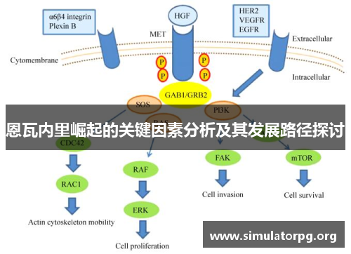恩瓦内里崛起的关键因素分析及其发展路径探讨