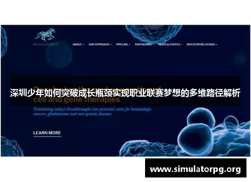 深圳少年如何突破成长瓶颈实现职业联赛梦想的多维路径解析 深圳少年如何突破成长瓶颈实现职业联赛梦想的多维路径解析