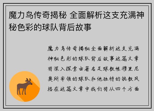 魔力鸟传奇揭秘 全面解析这支充满神秘色彩的球队背后故事 魔力鸟传奇揭秘 全面解析这支充满神秘色彩的球队背后故事
