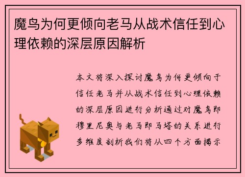 魔鸟为何更倾向老马从战术信任到心理依赖的深层原因解析